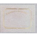 Blank Achievement Certificate w/ Foil Embossed Border (8 1/2"x11")